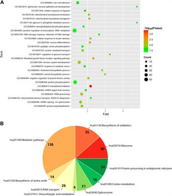 Identification of Key Genes Involved in Pancreatic Ductal Adenocarcinoma with Diabetes Mellitus Based on Gene Expression Profiling Analysis